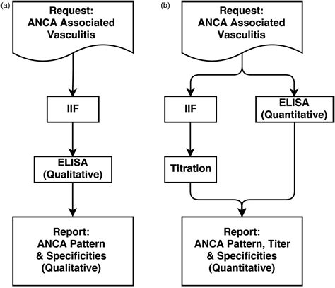 anca elisa kit antigen|anca diagnostic algorithm.